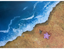 Beach Sand DetailsForm 2