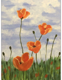 Poppies DetailsForm 2